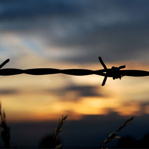 Barbed Wire in Delhi