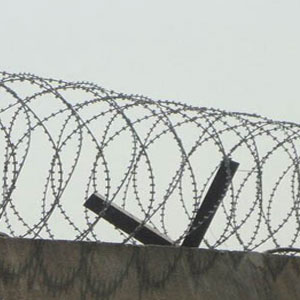Concertina Wire in Delhi